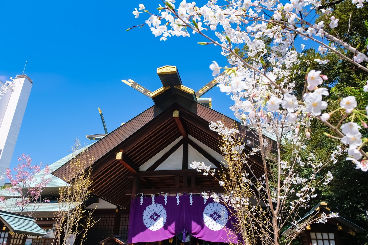 東京大神宮 拝殿と桜