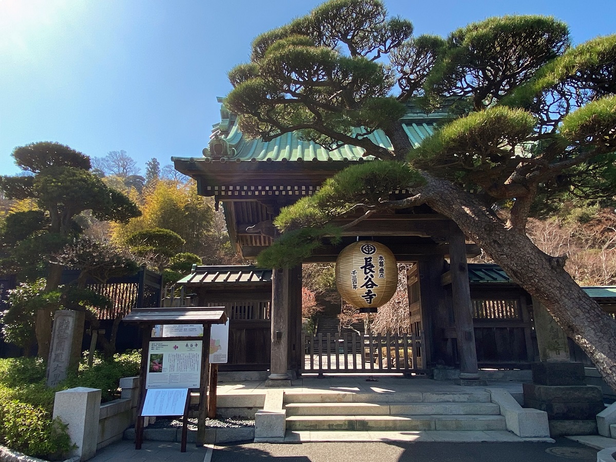 鎌倉長谷寺 山門