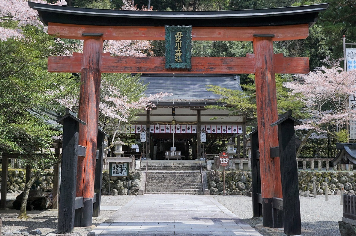 丹生川上神社 鳥居と拝殿