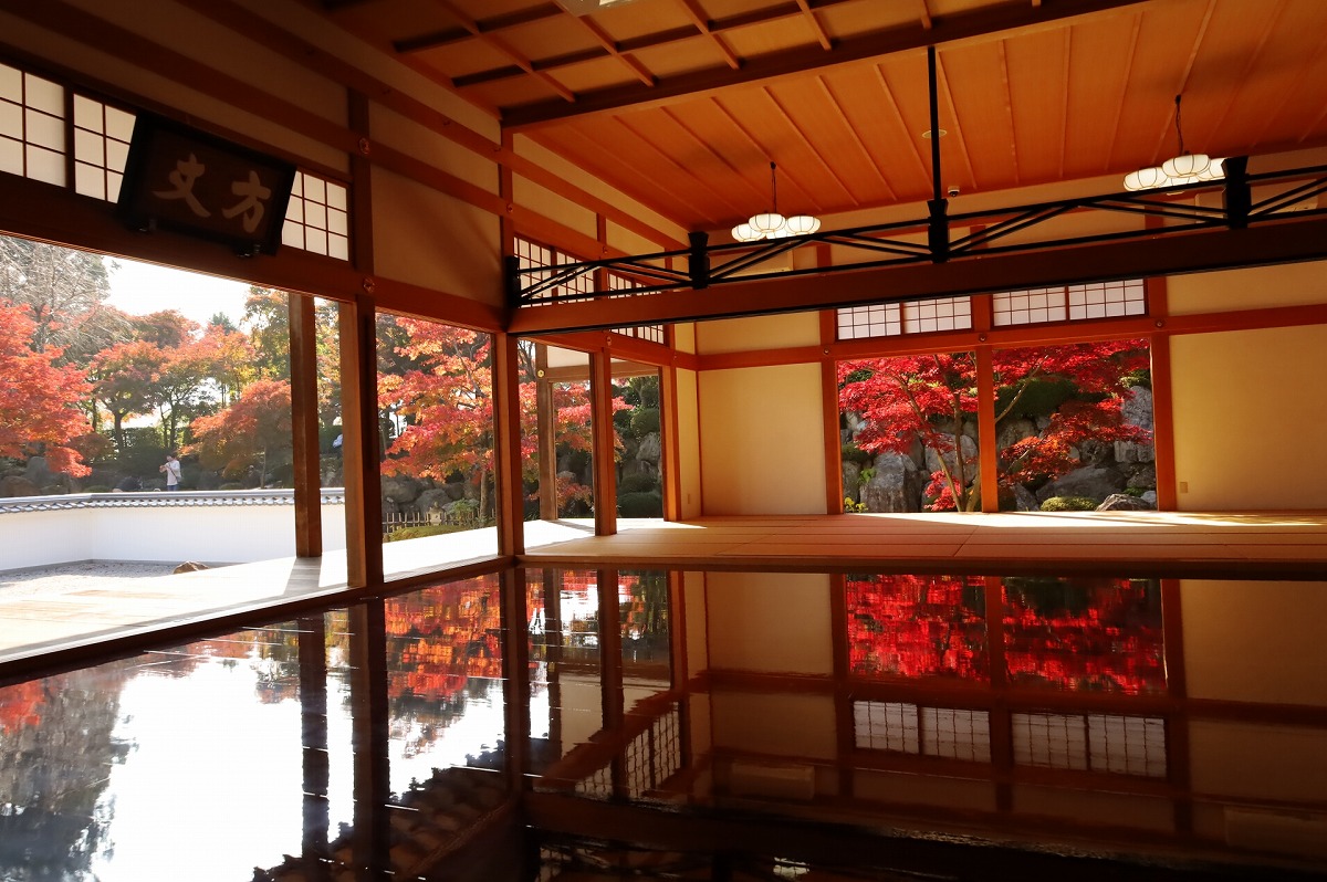 宝徳寺 床もみじ