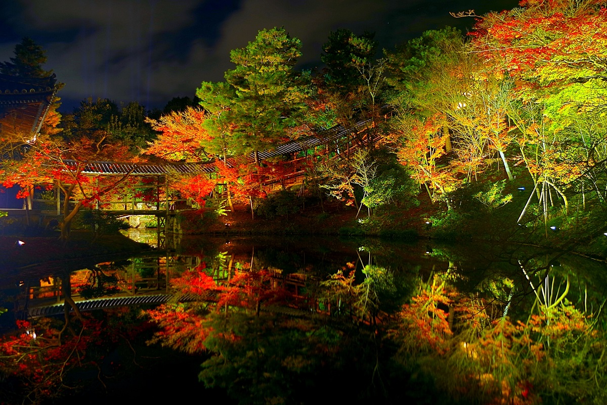 高台寺 ライトアップ