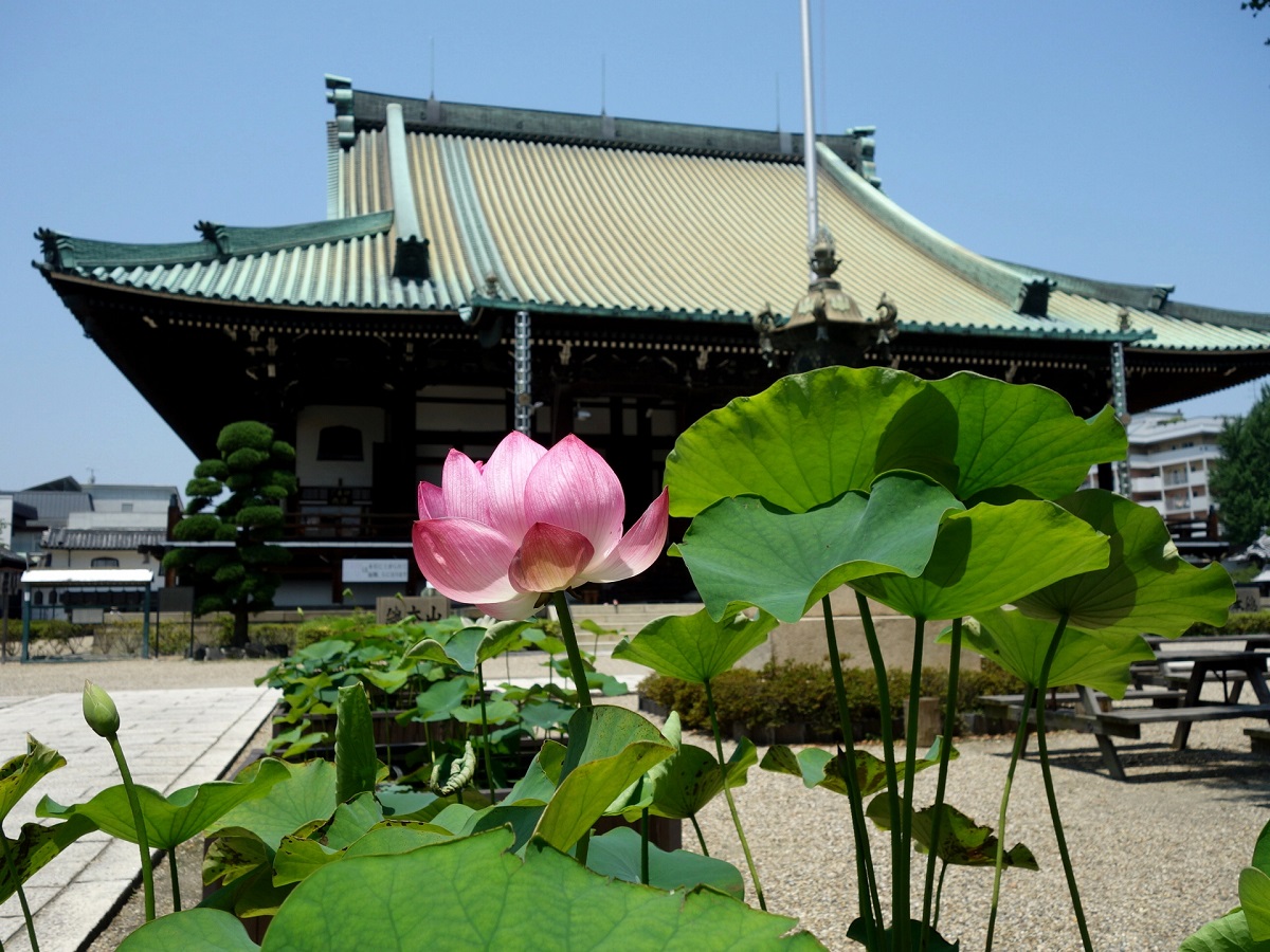 大念仏寺 本堂