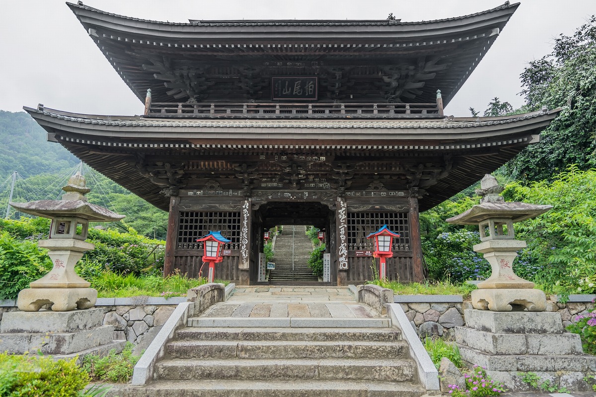 大善寺 山門