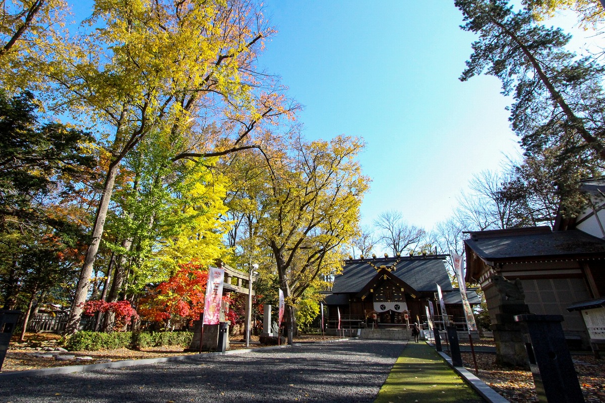 旭川神社 拝殿