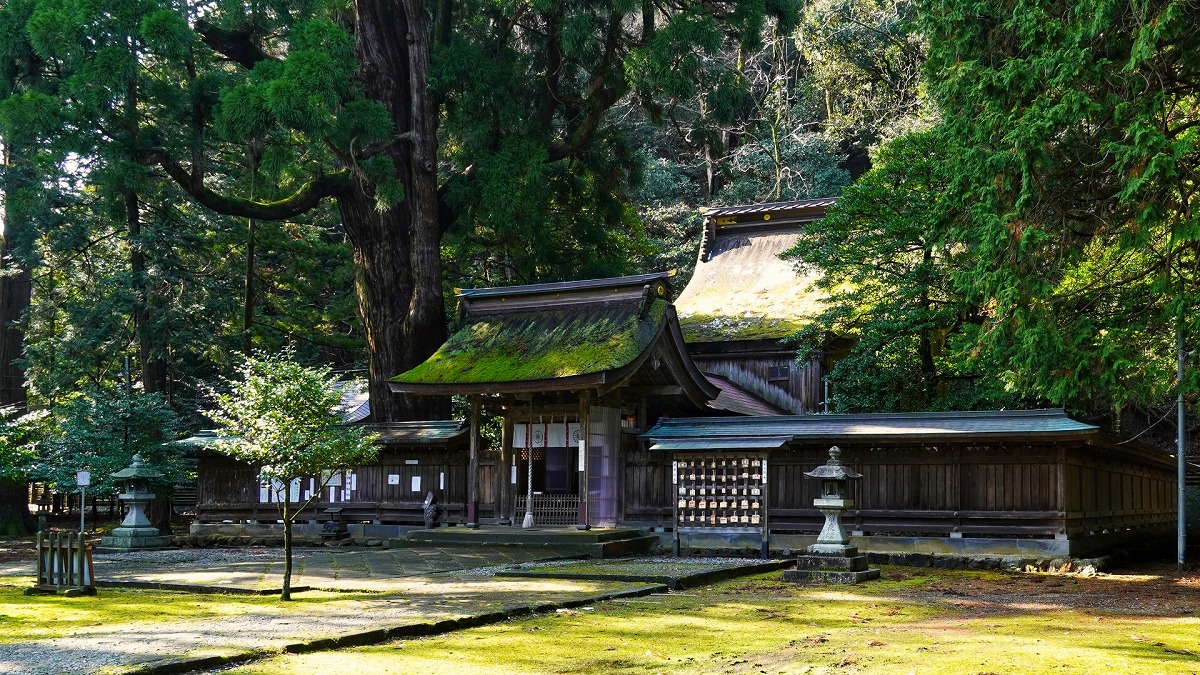 若狭姫神社 拝殿