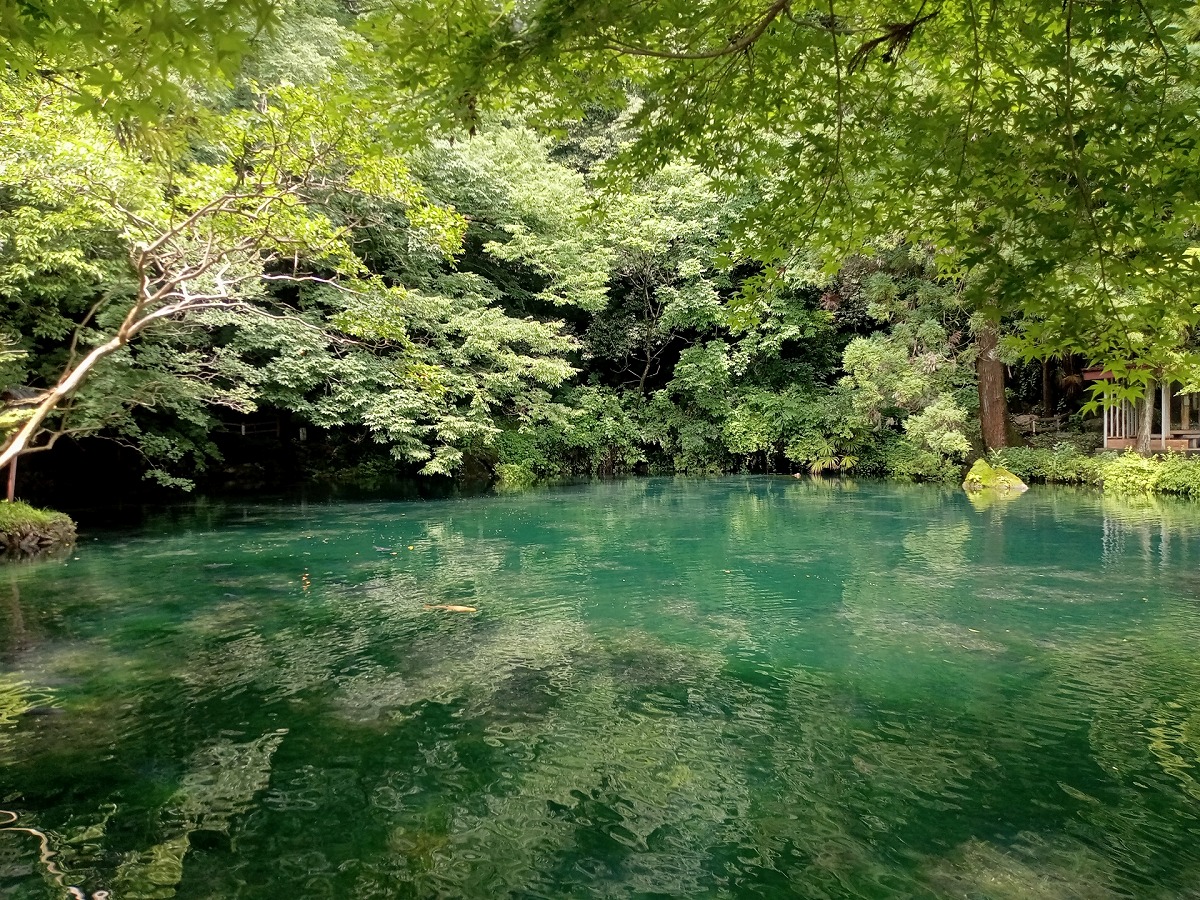 涌釜神社 出原弁天池