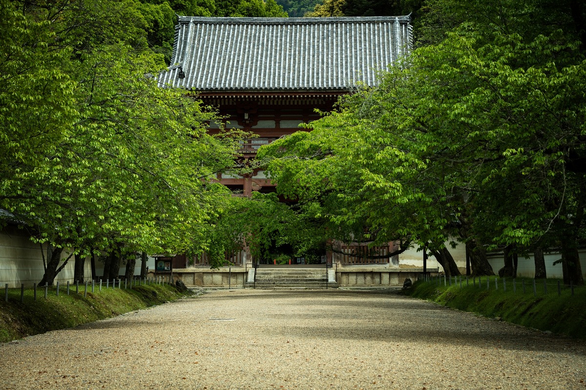 醍醐寺 西大門(仁王門)
