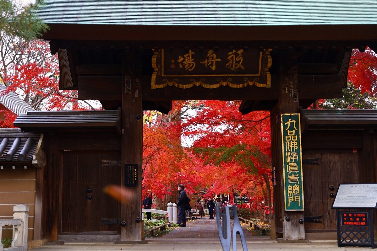 九品仏浄真寺 総門