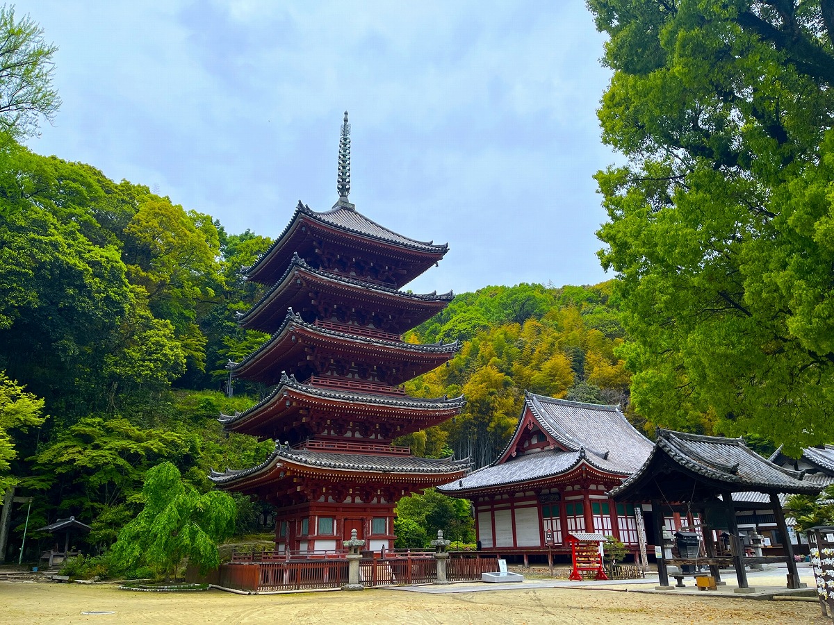 明王院 本堂と五重塔