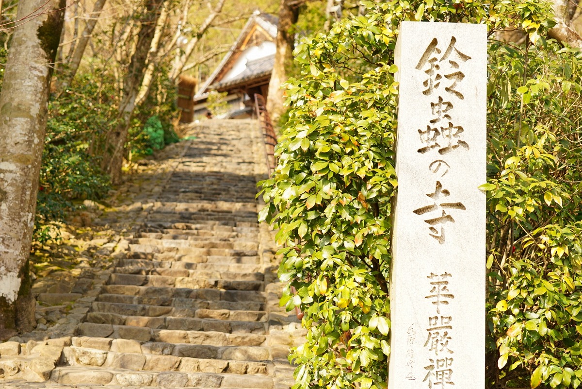 鈴虫寺(華厳寺) 石段