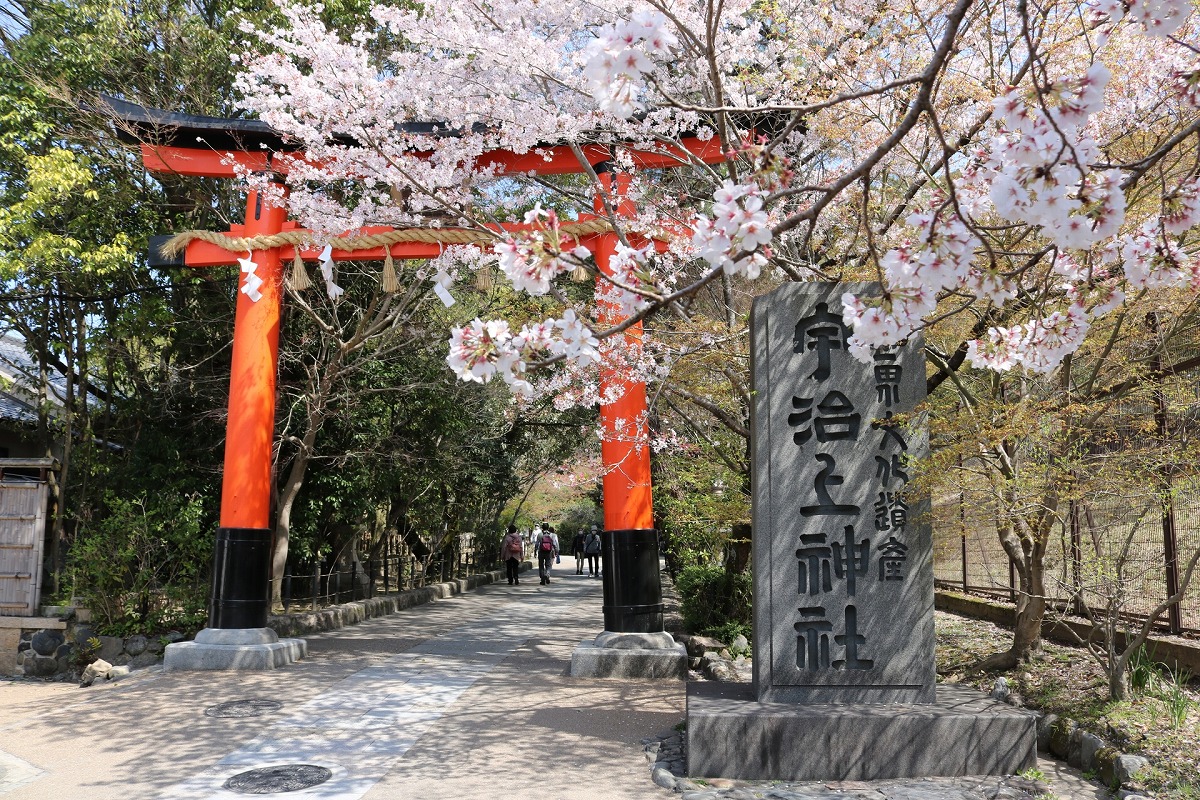 宇治上神社 鳥居