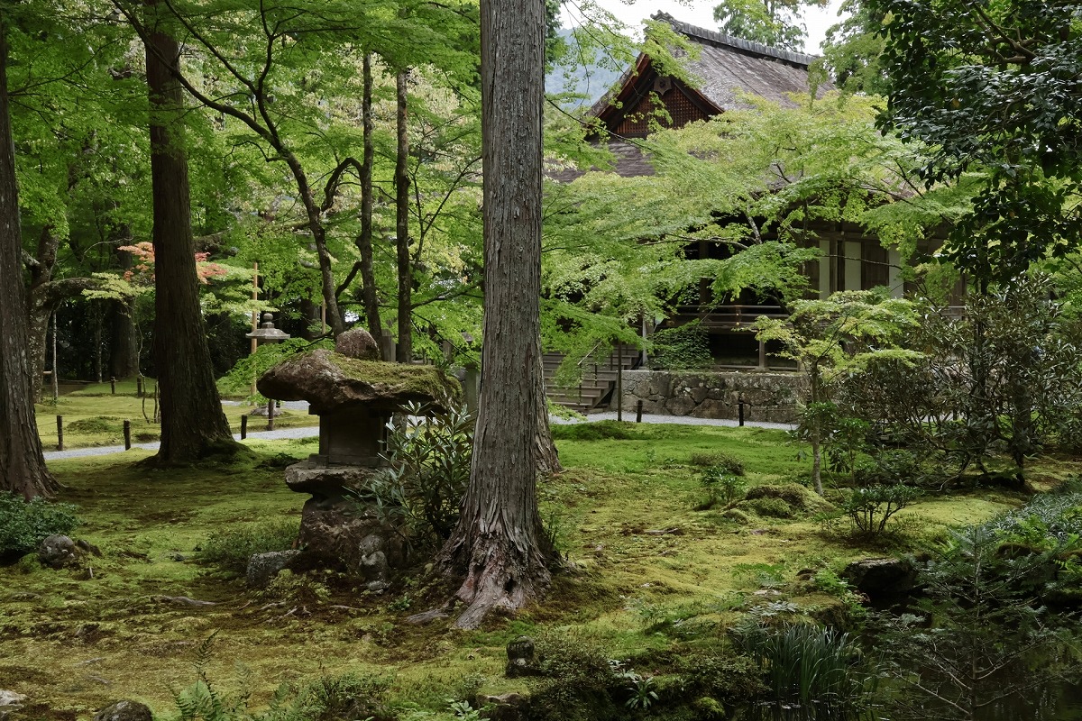 三千院 庭園