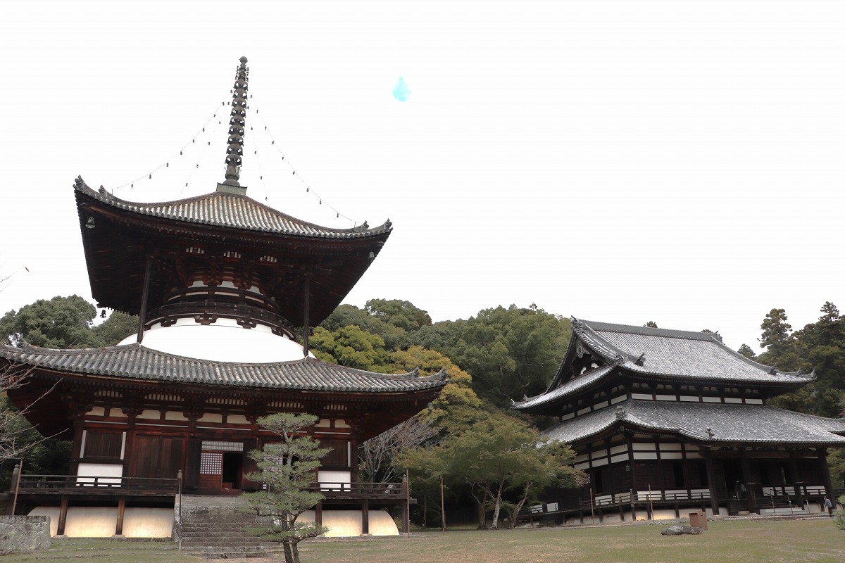 一乗山 根来寺 大塔と大伝法堂