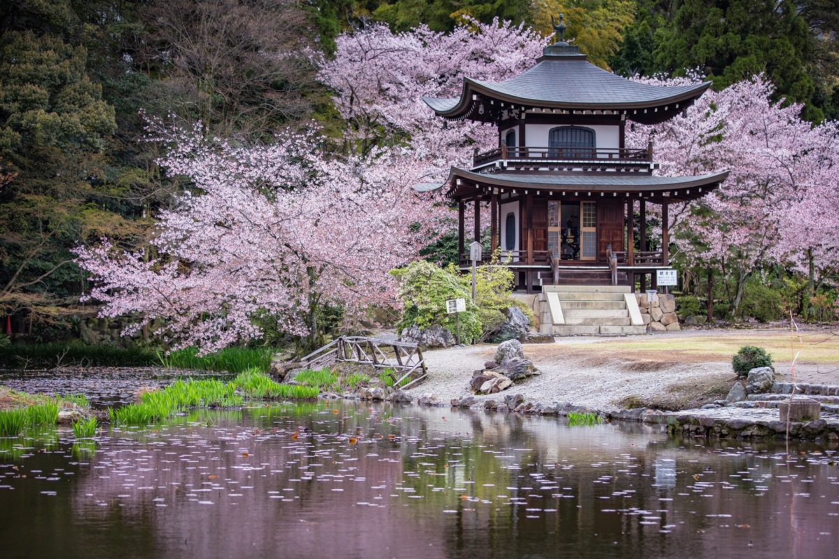 亀甲山 勧修寺　観音堂