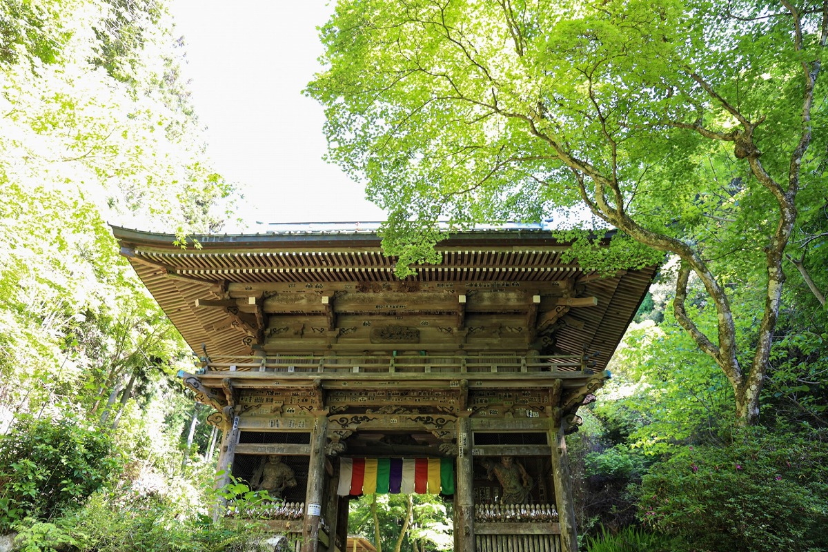 槇尾山 施福寺 山門