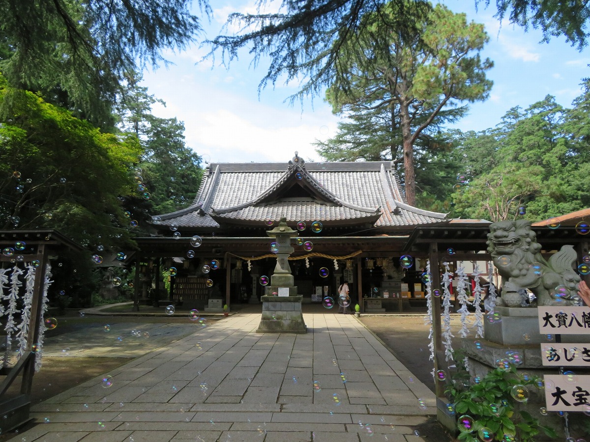 大宝八幡宮 拝殿