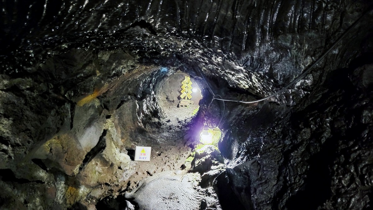 無戸室浅間神社 船津胎内樹形