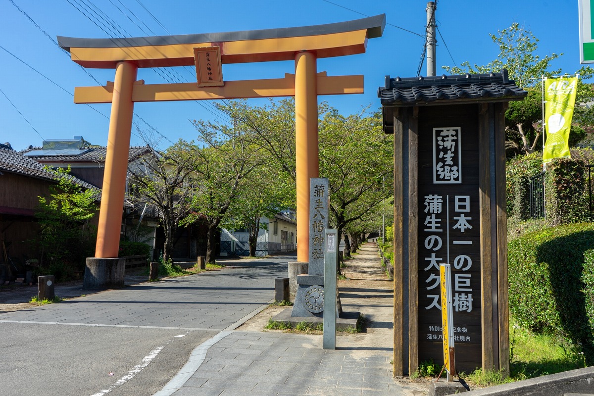 蒲生八幡神社 大鳥居