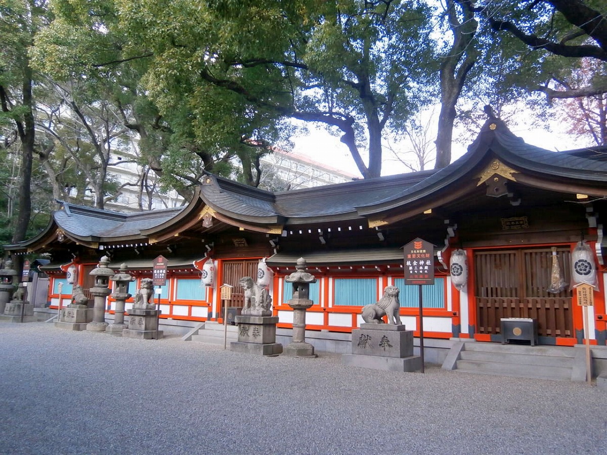 杭全神社 透塀