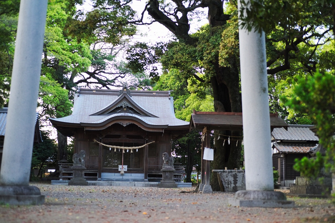 鷹松神社 大鳥居と拝殿