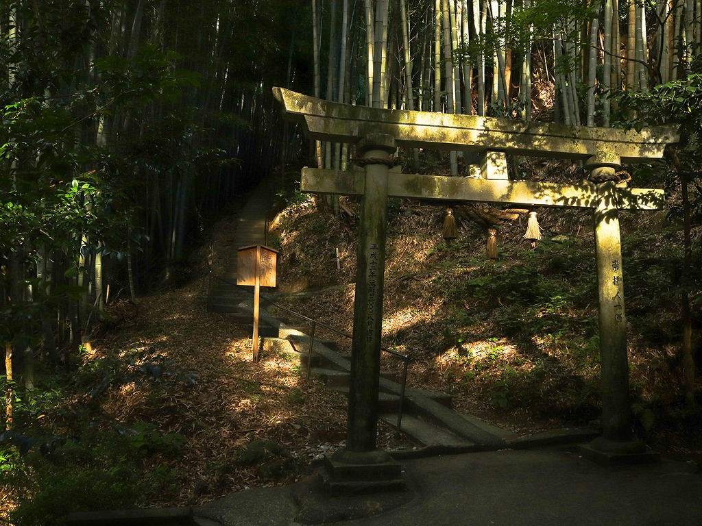 神龍八大龍王神社 鳥居