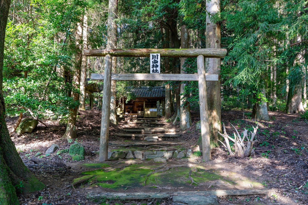 川中神社 鳥居と拝殿