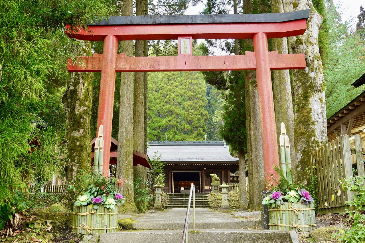 和氣神社 大鳥居と拝殿