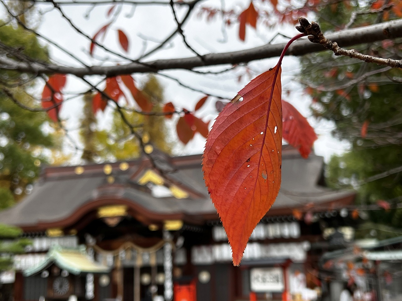 阿部野神社 拝殿