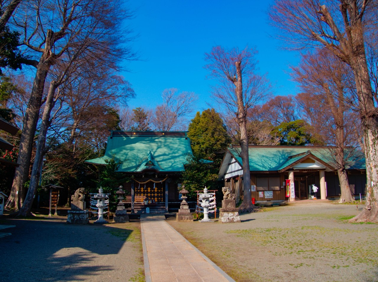 有鹿神社 境内