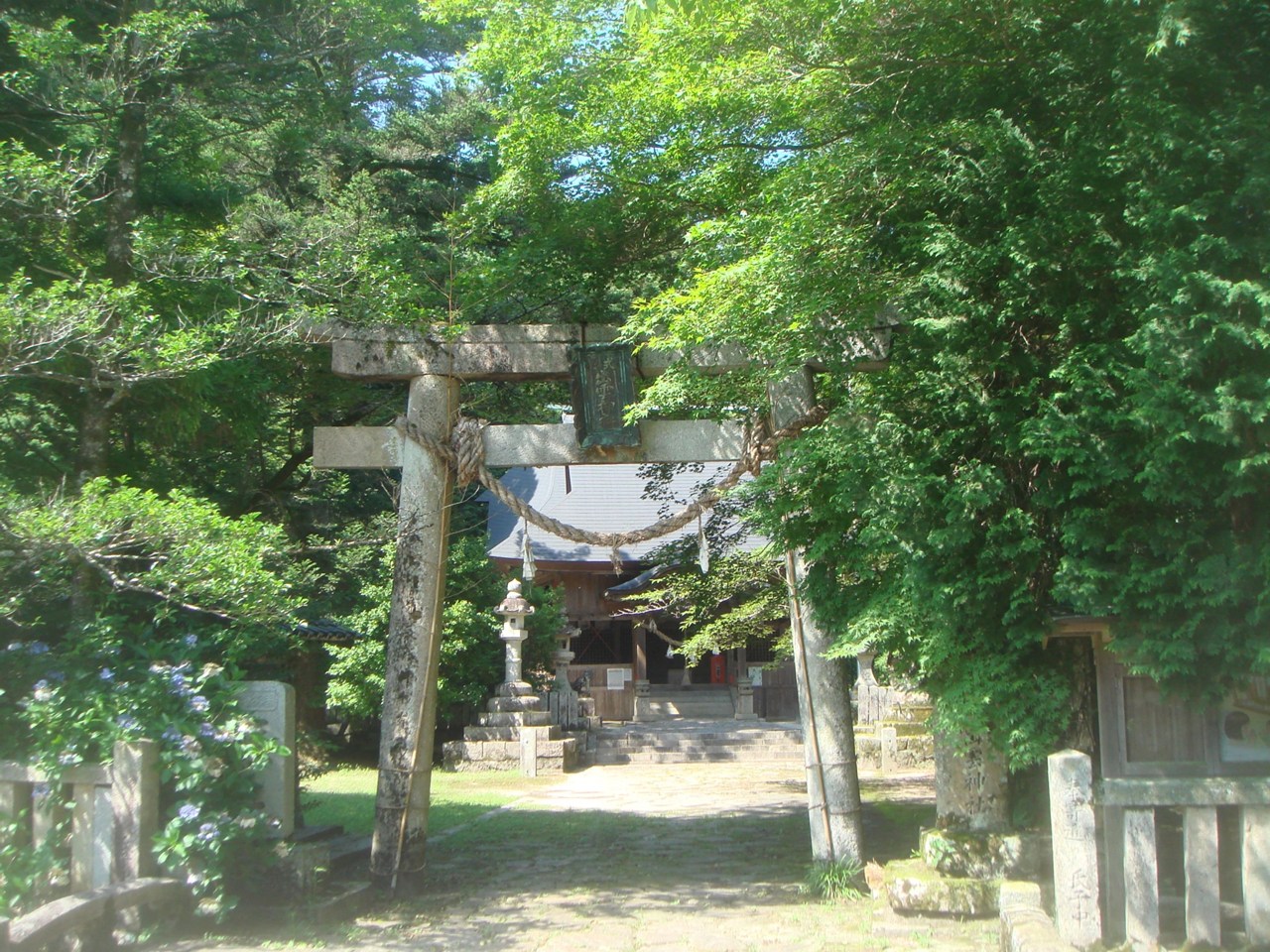 出雲神社 鳥居と拝殿