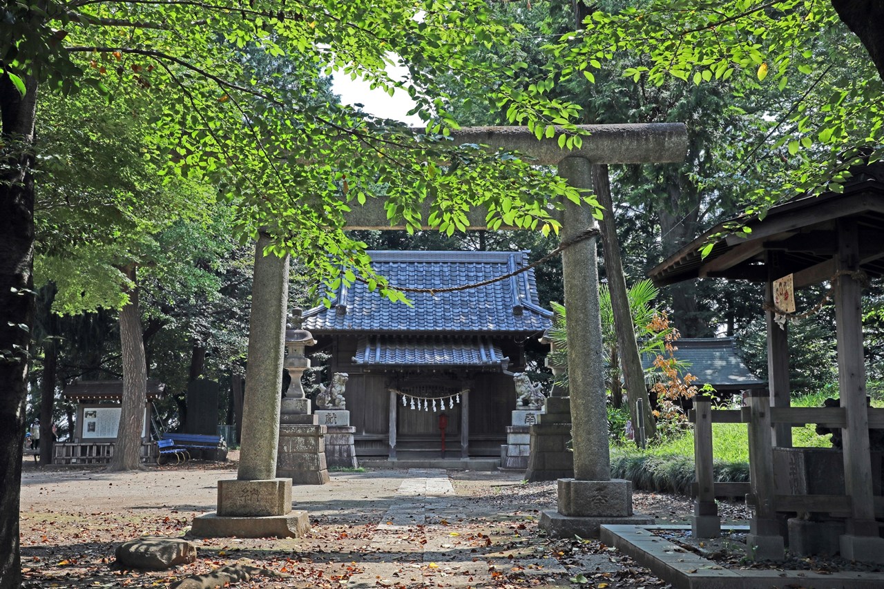 仙波氷川神社 鳥居と拝殿